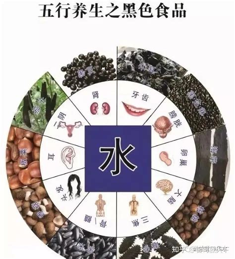 五行属水的食物|五行属水的食物，食物的五行怎么分？